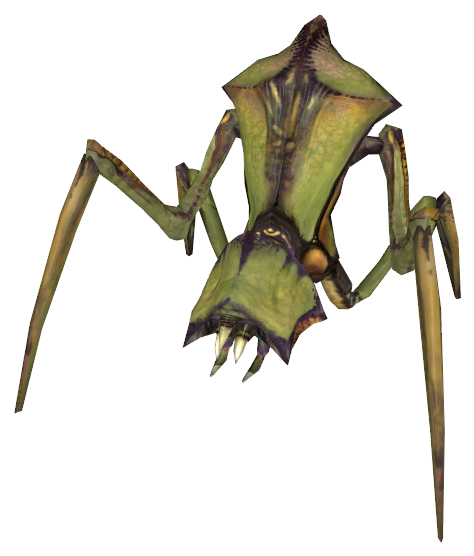 Antlion 01